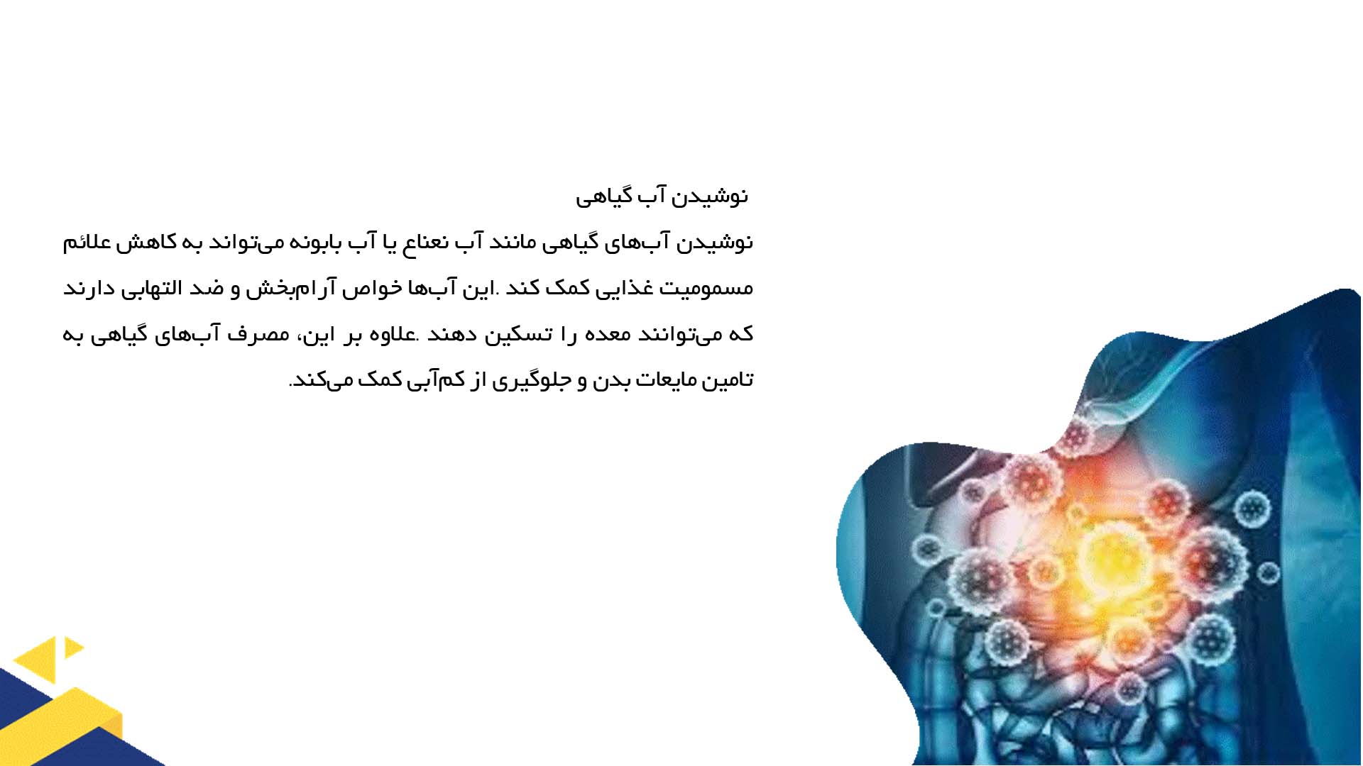 پاورپوینت در مورد درمان‌های خانگی معروف برای مسمومیت غذایی